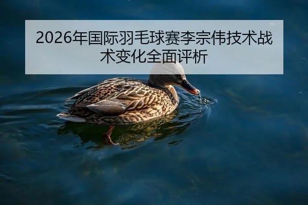 nian-guo-ji-yu-mao-qiu-sai-li-zong-wei-ji-shu-zhan-shu-bian-hua-quan-mian-ping-xi-2-777.jpg