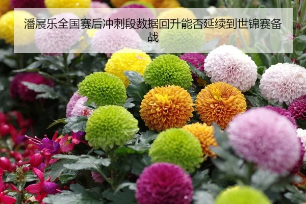 潘展乐全国赛后冲刺段数据回升能否延续到世锦赛备战