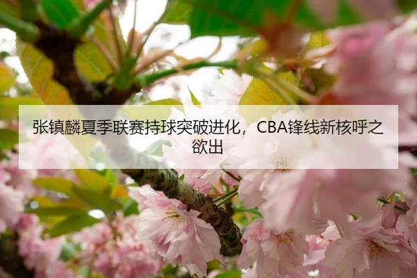 张镇麟夏季联赛持球突破进化，CBA锋线新核呼之欲出